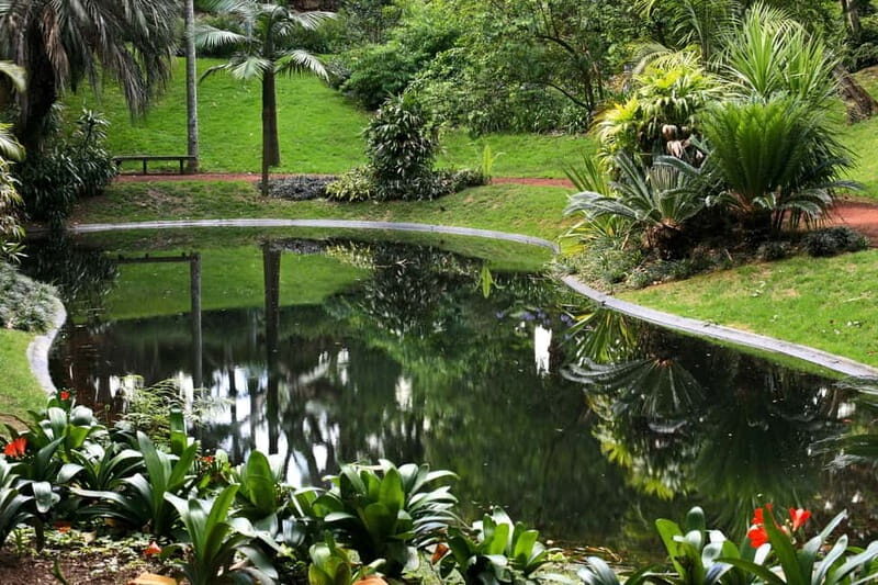 São Miguel: Botanical Gardens and Cave Tour - A Deep Dive into the São Miguel Botanical Gardens and Cave Tour