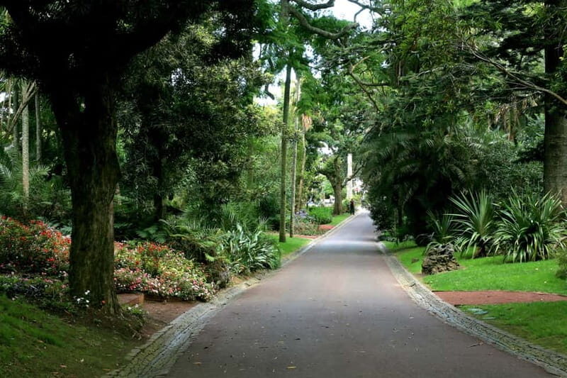 São Miguel: Botanical Gardens and Cave Tour - The Sum Up