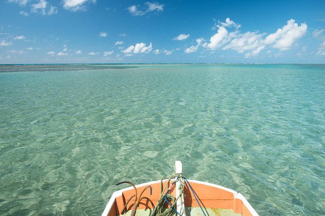 São Miguel Dos Milagres Tour From Maragogi With Costazul Turismo - Tour Overview