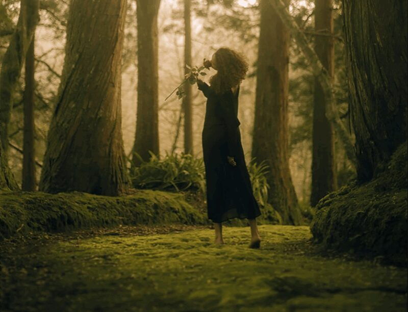 São Miguel: Enchanting Photo Session with Katharina - What to Expect During the Photo Shoot