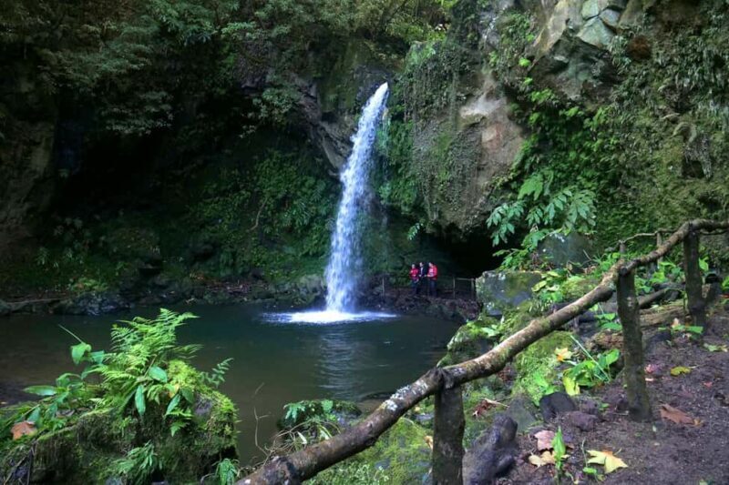 São Miguel: Félix Waterfalls Hike & North Coast Private Tour - An In-Depth Look at the São Miguel: Félix Waterfalls & North Coast Tour