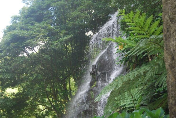 São Miguel: Full-Day Nordeste & Waterfall Tour With Lunch - Experience Highlights