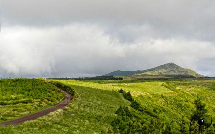 São Miguel: Full Day Tour to Nordeste - Activity Details