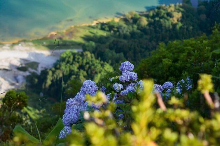 São Miguel: Furnas & Nordeste Full-Day Tour Including Lunch - Itinerary