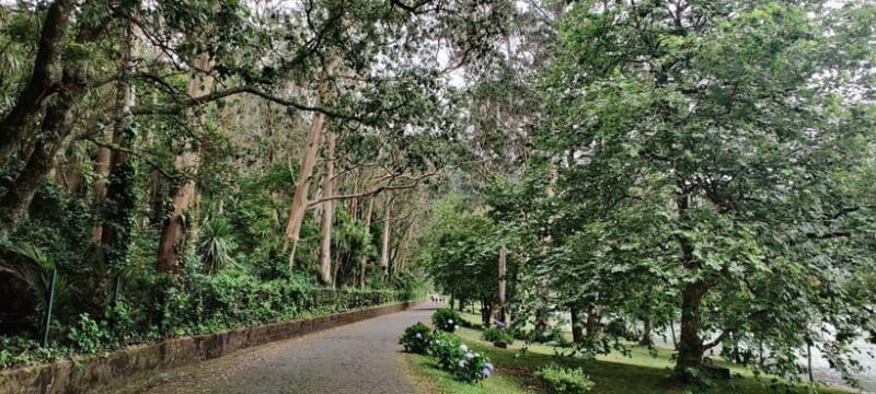 São Miguel: Furnas Valley Tour with Thermal Bath Option - Who Is This Tour Best For?