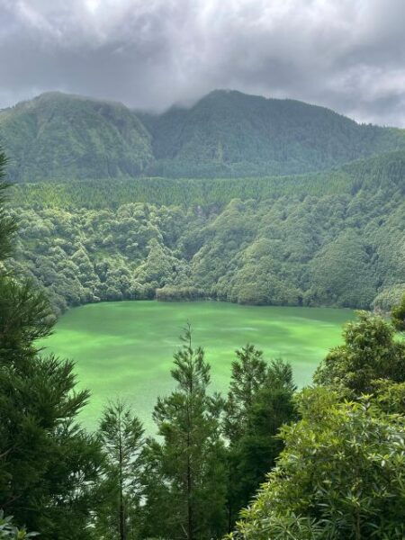 Sao Miguel: Guided Van Tour to Sete Cidades, Lagoa Do Fogo - The Sum Up