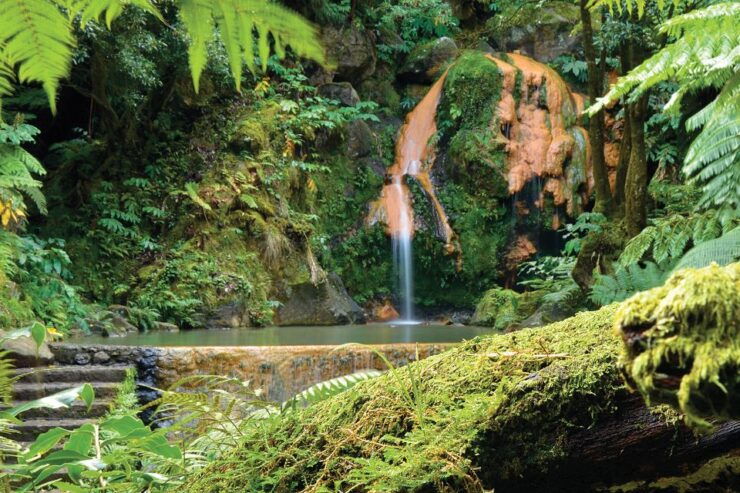 Sao Miguel: Half-Day Lagoa Do Fogo - Experience Highlights