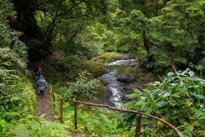 São Miguel Island: Chasing Waterfalls in the Azores Tour - Exploring São Miguel’s Waterfalls: A Practical Guide  