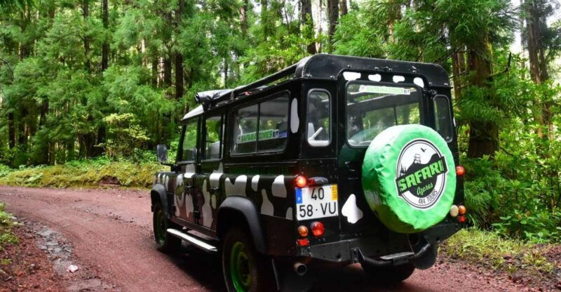 São Miguel Island: Full Day Furnas and Furnas Lake Tour - Good To Know