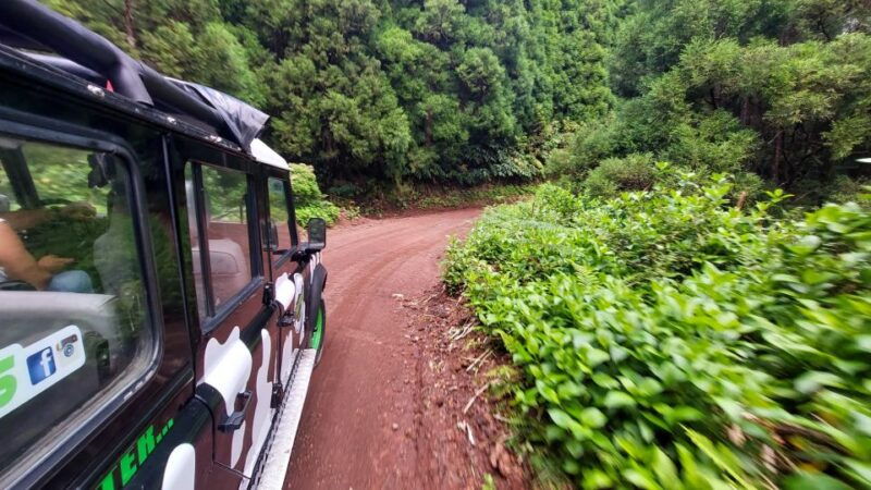 São Miguel Island: Full Day Furnas and Furnas Lake Tour - Authentic Traveler Insights