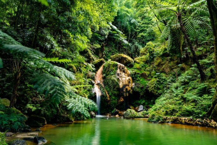 Sao Miguel: Jeep Tour to Sete Cidades & Lagoa Do Fogo - Activity Details