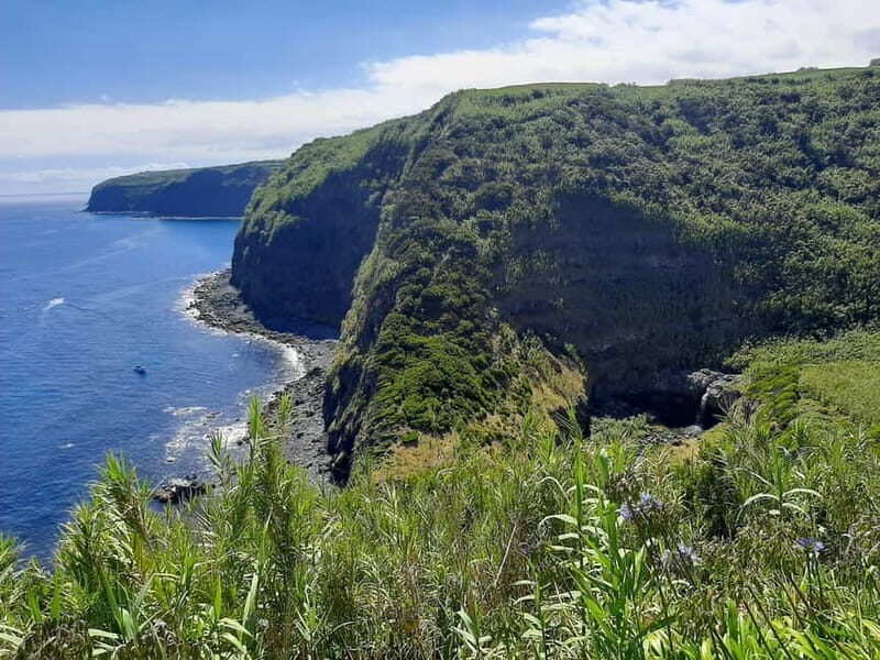 São Miguel: Moinho do Felix Hike with Tea Factory Visit - The Experience in Detail: What Makes It Stand Out