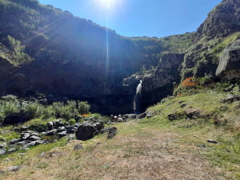 São Miguel: Moinho do Felix Hike with Tea Factory Visit - Is This Tour Worth It?