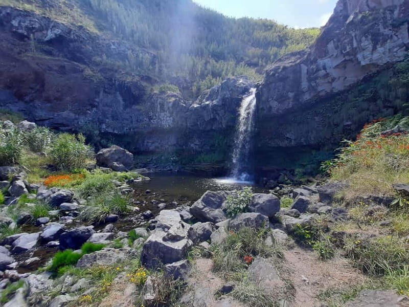 São Miguel: Moinho do Felix Hike with Tea Factory Visit - Final Thoughts: Who Will Love This Tour?