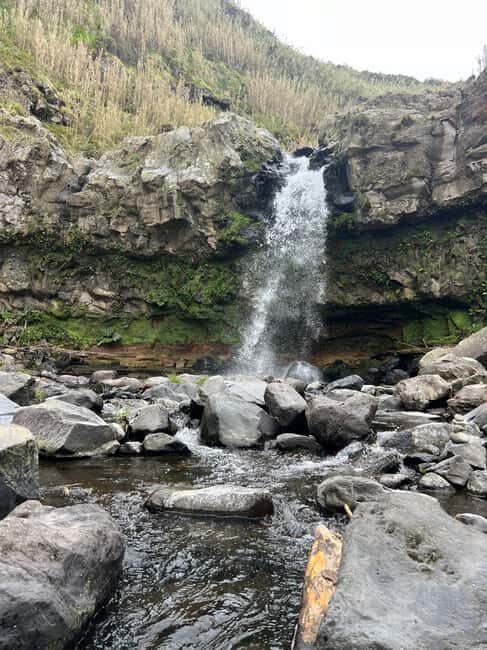 São Miguel: Nordeste Tour with Cow Milking - Good To Know