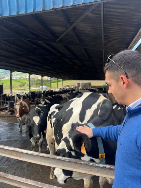 São Miguel: Nordeste Tour with Cow Milking - What Makes This Tour Special?