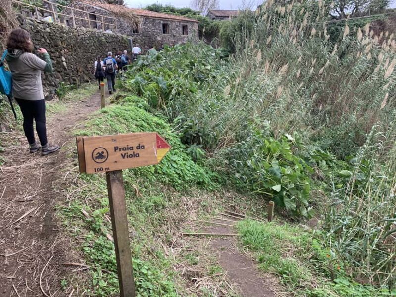 São Miguel: North Coast Private Tour & Hike - An In-Depth Look at the North Coast Private Tour & Hike