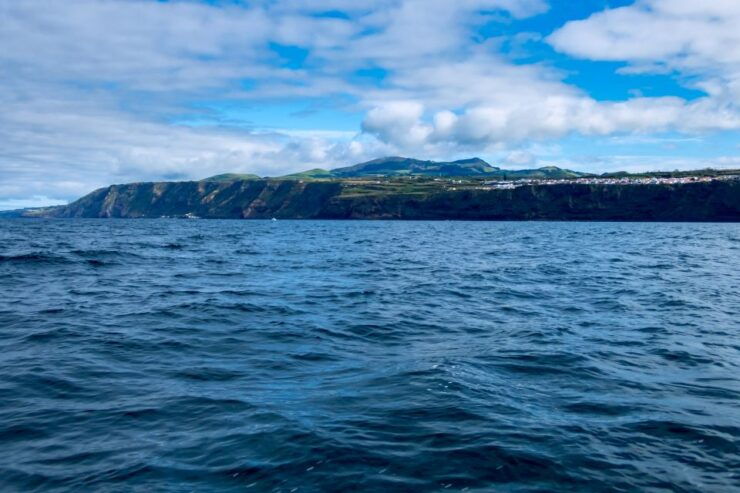 São Miguel: North Coast Whale Watching Cruise - Activity Details