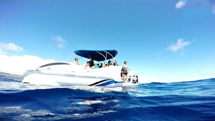 São Miguel: Passeio De Barco Com Fundo De Vidro E Snorkeling - Experience Highlights