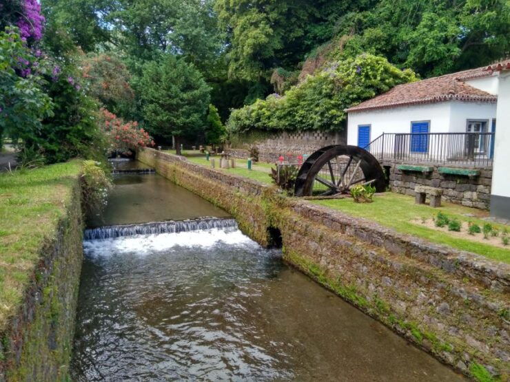 Sao Miguel: Privat Van Tour Furnas, Gorreana Tea Factory - Tour Details