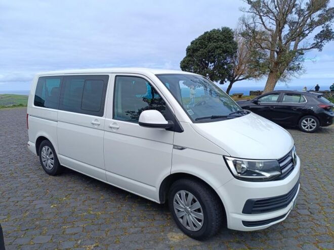 Sao Miguel: Privat Van Tour Furnas, Gorreana Tea Factory - Additional Information