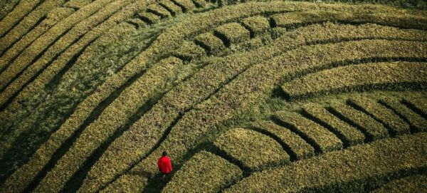 São Miguel: Private Tour With a Local Storyteller - Important Information and Recommendations