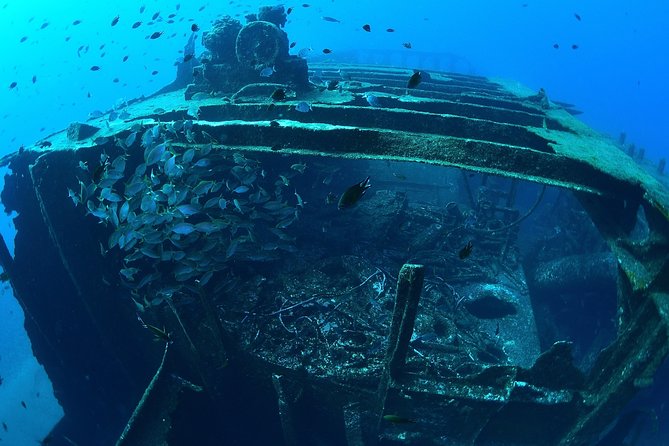 Sao Miguel Scuba Diving Experience for Certified Divers  - Ponta Delgada - Southern Shores of São Miguel