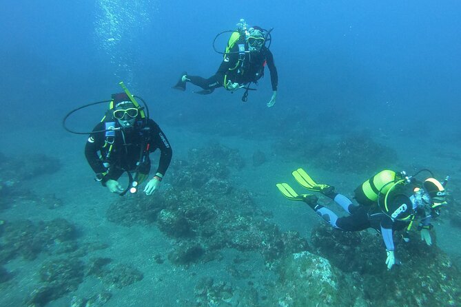 Sao Miguel Scuba Diving Experience for Certified Divers  - Ponta Delgada - Ending at the Meeting Point
