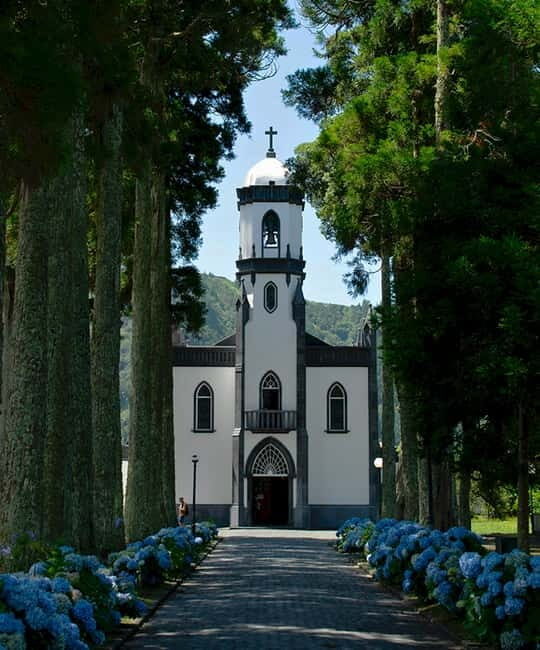 São Miguel: Sete Cidades & Pineapple Plantation Tour - Who Will Love This Tour?