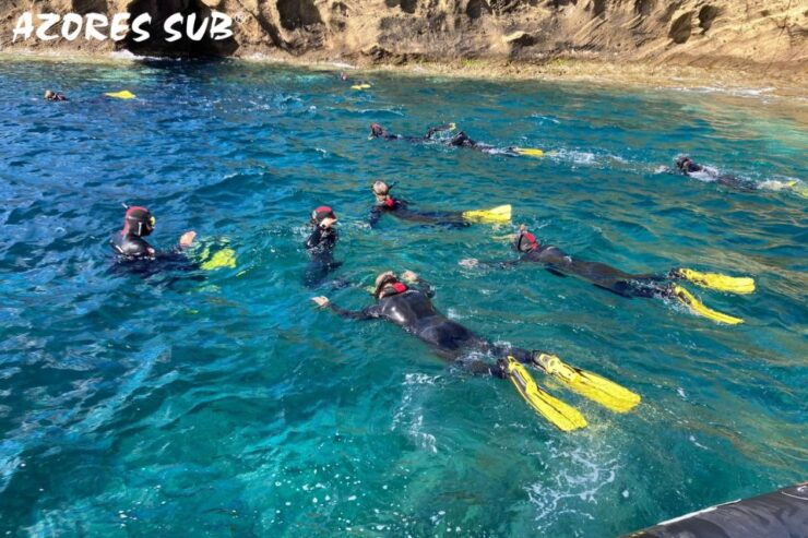 Sao Miguel: Snorkeling Around Vila Franca Do Campo - Activity Details