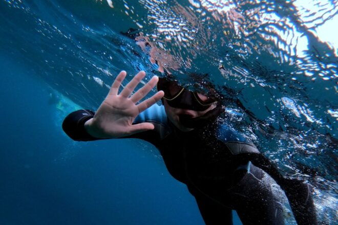 Sao Miguel: Snorkeling Around Vila Franca Do Campo - Important Information