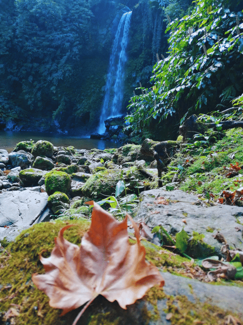 São Miguel: the Majestic North Tour (Waterfalls W/Lunch) - Itinerary Highlights
