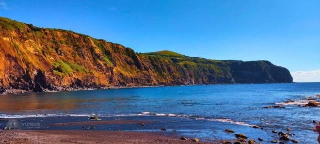 Sao Miguel: the West Side Tour (with Lunch) - Experience Details