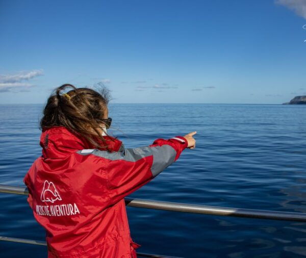 São Miguel: Wild Swimming With Dolphins - Common Questions