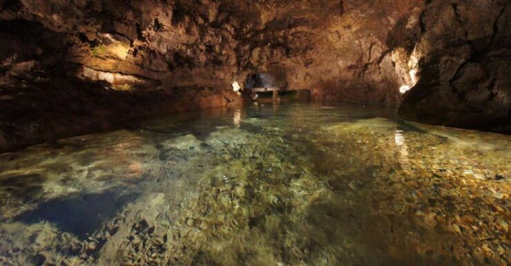 São Vicente Caves and Volcano Center Half-Day Tour - Tour Details