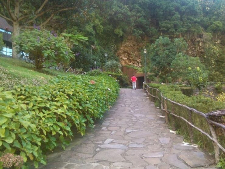 São Vicente Caves and Volcano Center Half-Day Tour - Tour Experience