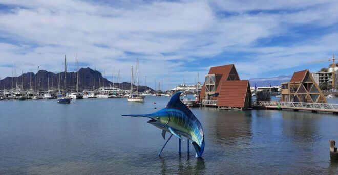 São Vicente: Markets, Beaches and Natural Park Tour - Booking Details