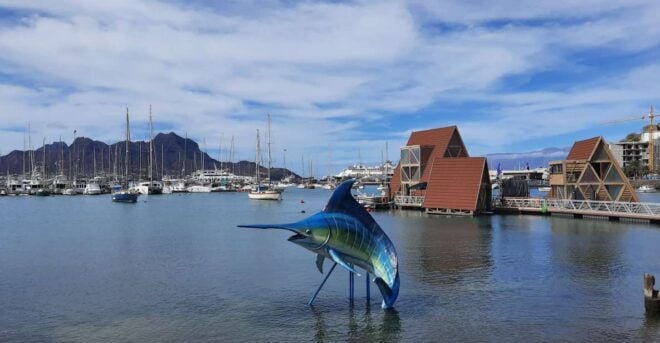 São Vicente: Markets, Beaches and Natural Park Tour - Customer Feedback