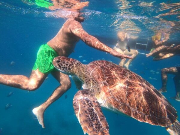 São Vicente: Snorkeling With Turtles Breathtaking Experience - Frequently Asked Questions