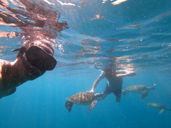 São Vicente: Snorkeling With Turtles Breathtaking Experience - The Sum Up