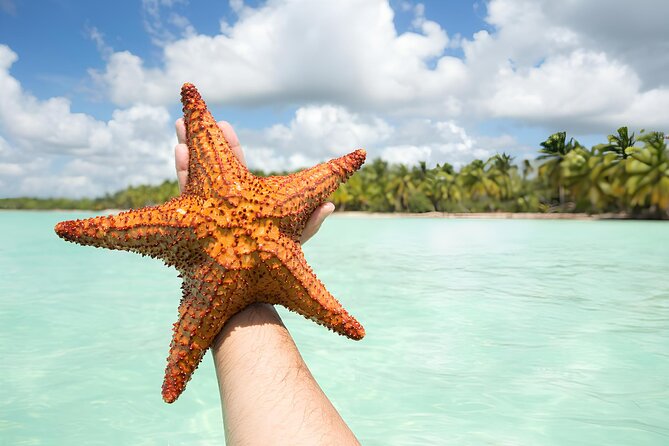 Saona and Mano Juan Private Tour by Speedboat From Punta Cana - Cancellation Policy and Weather Considerations