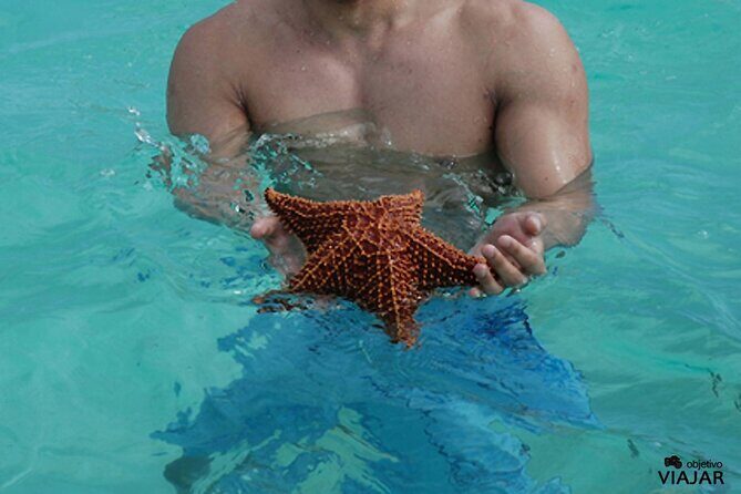 Saona Bayahibe Island Day Trip - Practical Considerations