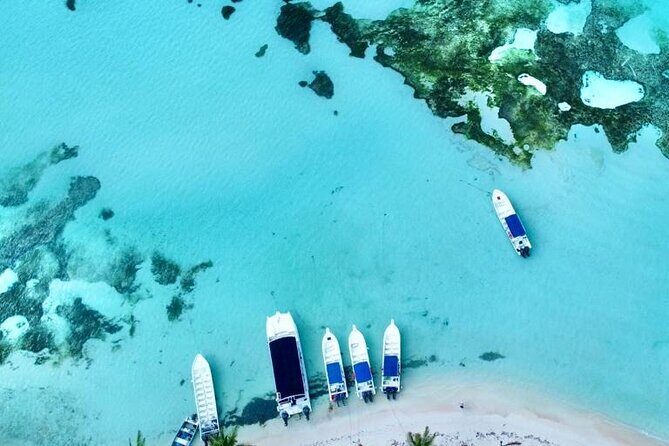 Saona by Speedboat: Private Beach & Snorkeling  Small Group - The Practicalities: What You Need to Know