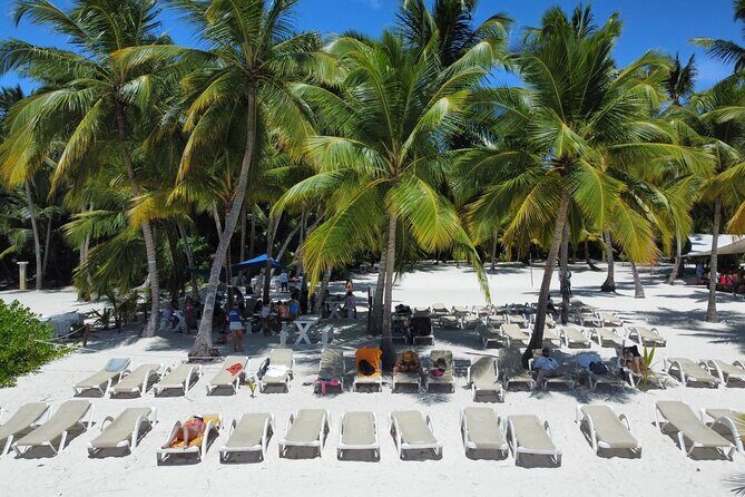 Saona by Speedboat: Private Beach & Snorkeling  Small Group - Who Would Love This Tour?