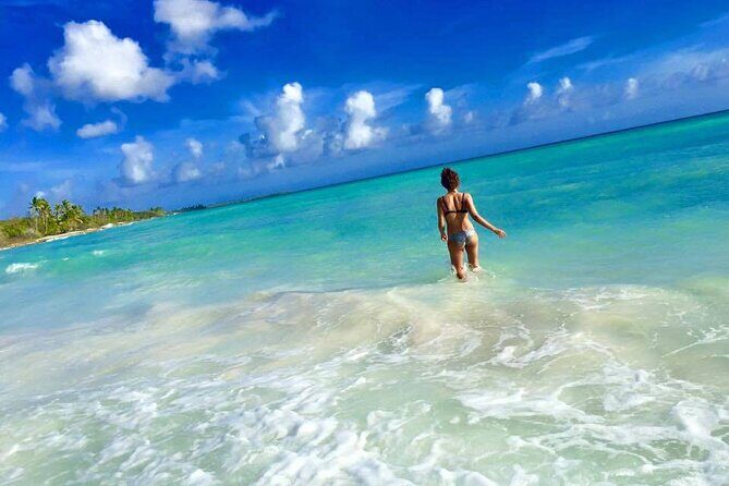 Saona by Speedboat: Private Beach & Snorkeling  Small Group - Final Thoughts