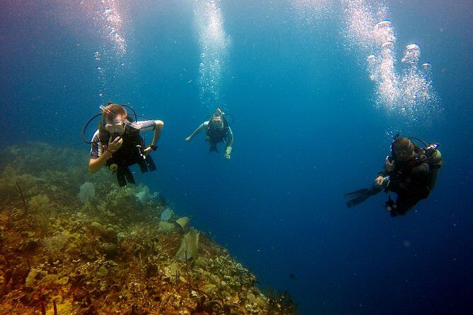 Saona Diving - Good To Know