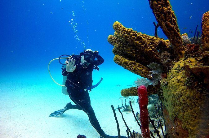 Saona Diving - The Experience in Context