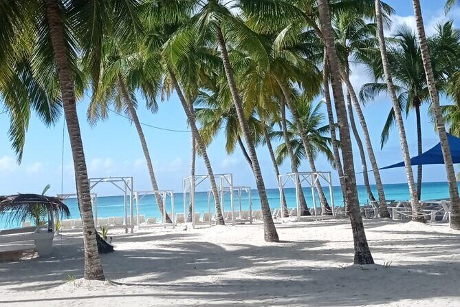 Saona Island Adventure - The Sum Up