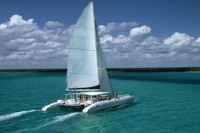 Saona Island Adventure From Punta Cana With Lunch and Transportation - Discovering Saona Island: The Complete Experience