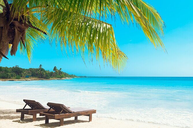 Saona Island Adventure From Santo Domingo - What the Tour Includes and What to Keep in Mind